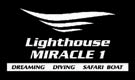 Lighthouse - Miracle